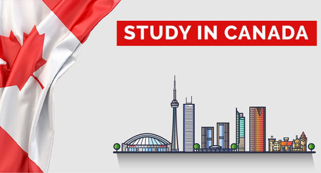 تحصیل کارشناسی در کانادا 2024 | شرایط و مدارک