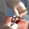 تحصیل دندانپزشکی در آلمان | شرایط و مدارک