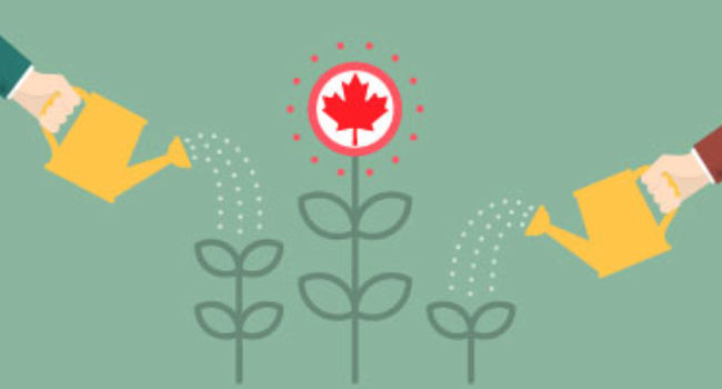 ثبت شرکت در کانادا | روش ها و هزینه ها