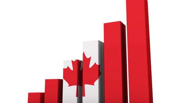 تحصیل رشته اقتصاد در کانادا 2024