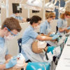 تحصیل دندانپزشکی در قبرس 2023 | شرایط و مدارک