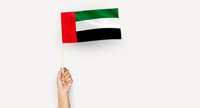اقامت دبی از طریق ثبت شرکت چگونه است؟