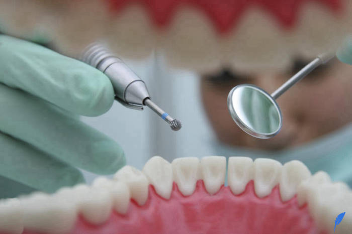 تحصیل دندانپزشکی در ایتالیا نیاز پذیرش تحصیلی دانشگاه های ایتالیا دارد.