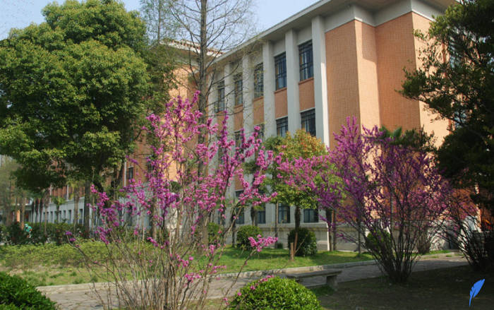 دانشگاه تونگجی یکی از بهترین دانشگاه های چین است.