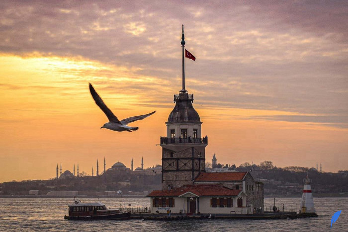 پاسپورت ترکیه | دریافت پاسپورت ترکیه با تحصیل در ترکیه
