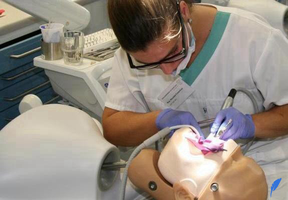 کار دندانپزشکان در آلمان